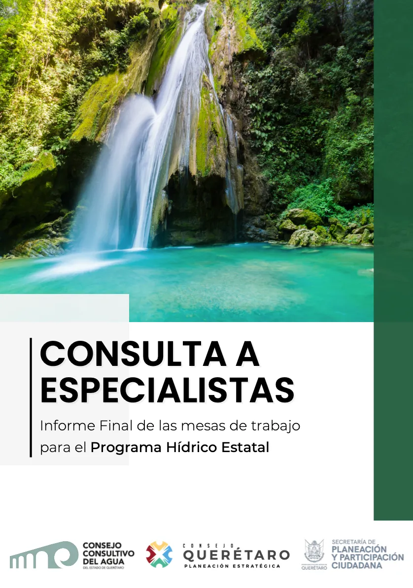 Programa Hídricco_Consulta a Especialistas - Programa Hídrico Estatal_IMA