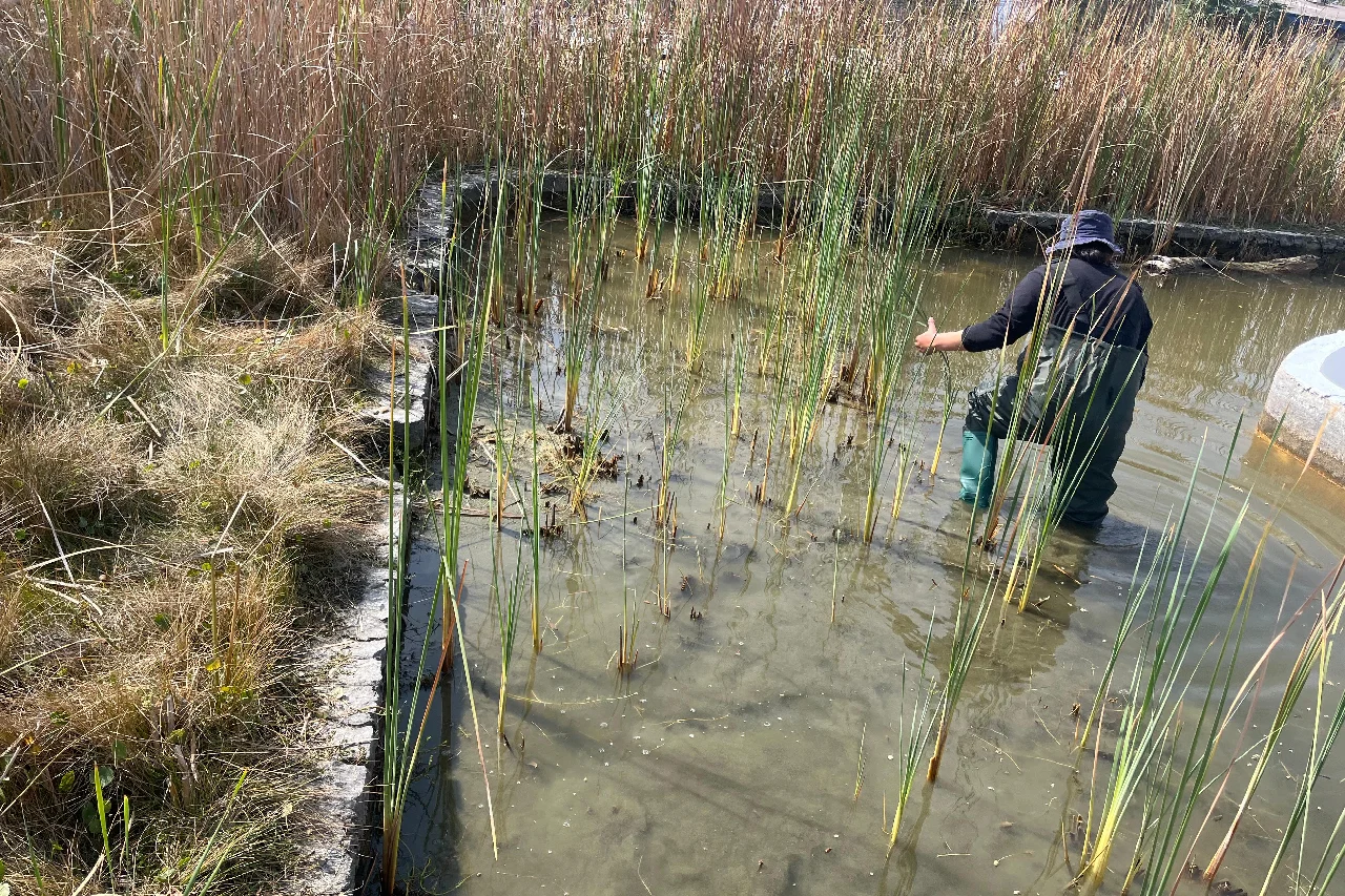 Programa Hídrico-restauración de rios