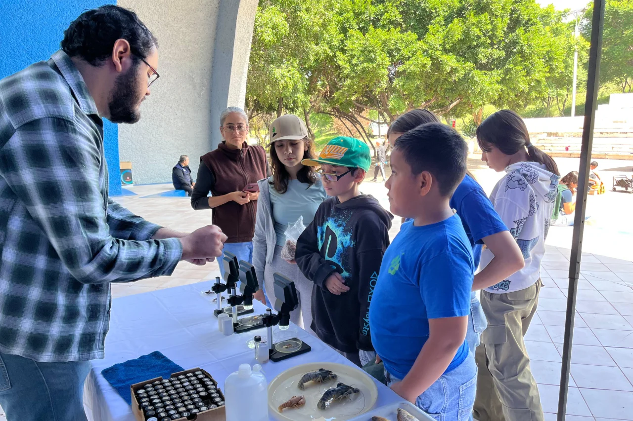 Programa Hídrico-sector primario